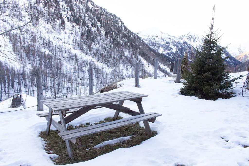 Rez De Chalet, Sauna Exterieur, Wifi, 4-6 Pers, 50M2 Isola 2000 Εξωτερικό φωτογραφία